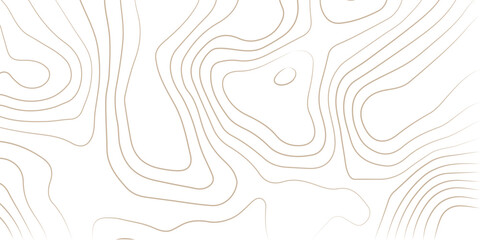 Golden Topographic map, Geography landscape Topo contour map on white background, Topographic contour lines.  Geographic mountain relief diagram line wave carve pattern. Seamless pattern with lines.