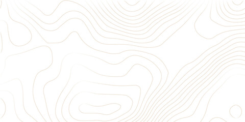 Topography background. Vector banner. Background of the topographic map. Topographic map lines, contour background.  Topography background. Vector geographic contour map. 
