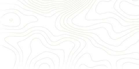 Topography background. Vector banner. Background of the topographic map. Topographic map lines, contour background.  Topography background. Vector geographic contour map. 