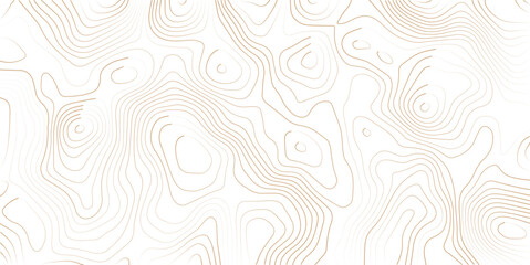 Topography background. Vector banner. Topography background. Vector geographic contour map. Background of the topographic map. Topographic map lines, contour background. 