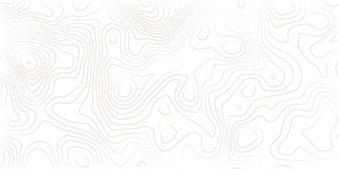 Geography landscape Topo contour map on white background, Topographic contour lines. Seamless pattern with lines Topographic map. Geographic mountain relief diagram line wave carve pattern. 