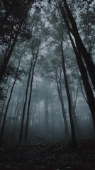 Misty Forest with Tall Trees Fading into Fog for Phone Background