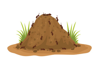 Ant hills with colony of ants working around the nest