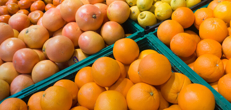 New harvest of citrus fruits on the market, oranges, grapefruits, lemons, mandarines