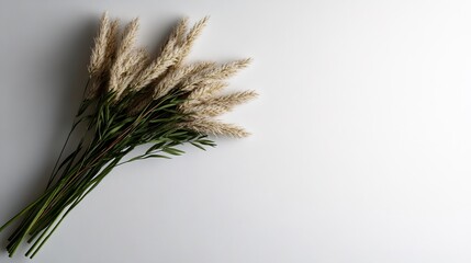 Fototapeta premium Elegant Pampas Grass Bouquet on White Background
