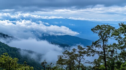Misty mountain range view with clouds and blue sky, forest and trees in foreground