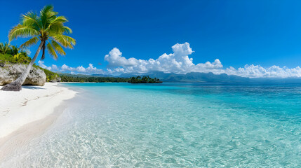 Fototapeta premium Tropical beach paradise Palm tree, white sand, turquoise water, island background, vacation travel