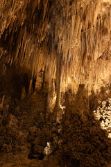 Rock formations in Carlsbad Caverns National Park, New Mexico
