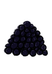 Caviar negro ilustración digital