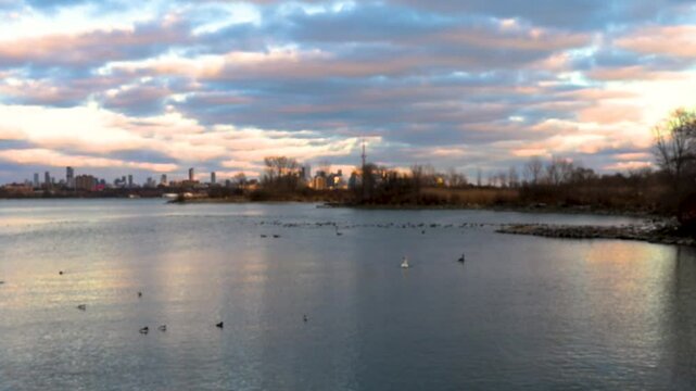 A tranquil sunset at Toronto&rsquo;s waterfront near Mimico and Lake Shore. High-rise buildings glow in the golden light as ducks swim peacefully in the calm water, creating a serene urban scene.


