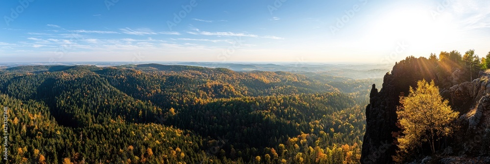 Poster A panoramic view of a forest with a mountain in the background