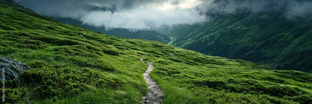 Poster A mountain range with a path through the grass