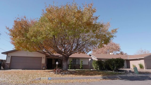 Man Riding Electric Wheel Through Leaves in a Neighborhood