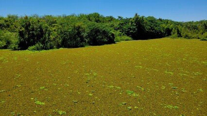 Ecological reserve is the most biodiverse green space in the city of Buenos Aires Argentina