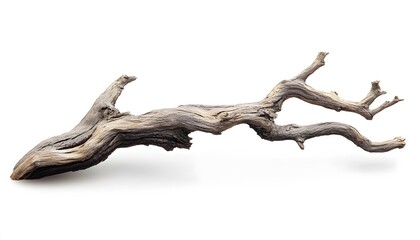 Weathered Driftwood Branch Isolated On White Background