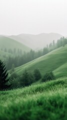 Fototapeta premium Lush Green Rolling Hills Covered in Fog and Wildflowers in a Tranquil Landscape