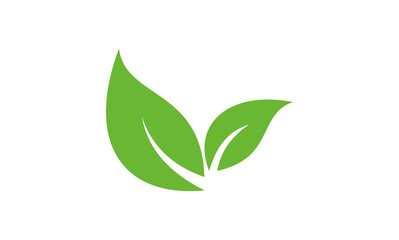 green leaf logo design