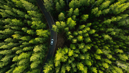 Aerial view of dark green forest road and white electric car Natural landscape and elevated roads...
