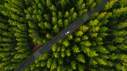 Aerial view of dark green forest road and white electric car Natural landscape and elevated roads Adventure travel and transportation and environmental protection concept	
