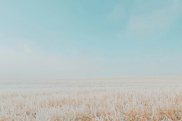 Obraz premium serene landscape of frosty tundra with dead grass under clear blue sky