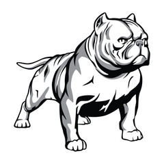 vector illustration of a pit bull dog