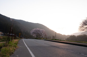 春風とともに歩む道