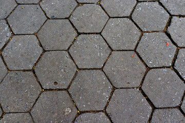 Detail of a stone paved street.