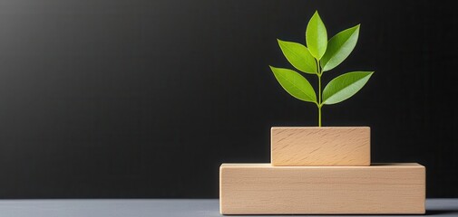 goal of life achievement health. Achieving milestones that mirror a commitment to health and sustainable living