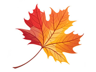 Obraz premium autumn leaves