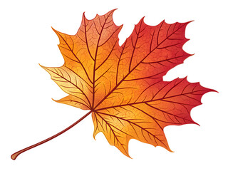 Fototapeta premium autumn maple leaf
