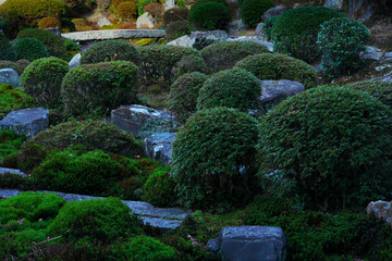 Zen Explore the gardens and And To the city