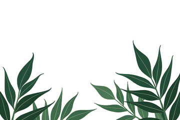 Plant textures, Minimalist typography, Nature-inspired design, Modern elegance, Organic patterns, Clean layout
