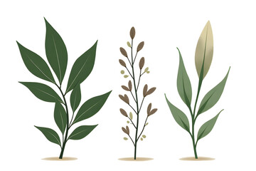 Plant textures, Minimalist typography, Nature-inspired design, Modern elegance, Organic patterns, Clean layout