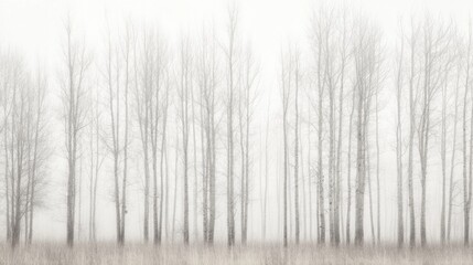 Ethereal fog envelops a serene forest of bare trees standing tall in a tranquil landscape