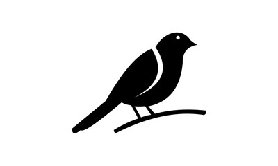 bird on a branch
