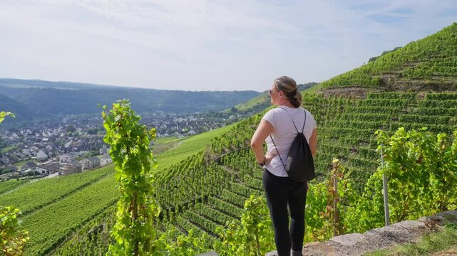 Person looking out over a sprawling valley filled with vineyards and a small European village on a sunny day, Winningen, Mosel River, Germany