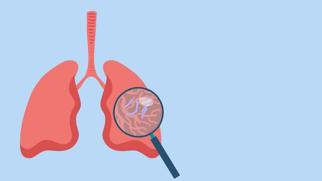 animation of lungs suffering from tuberculosis