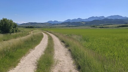 Fototapeta premium Picturesque Dirt Road Winding Through a Verdant Field Towards Distant Mountains Under a Clear Blue Sky