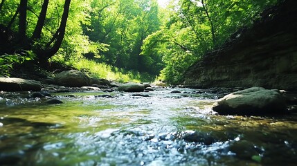 Obraz premium Green trees and river rocks flow with clear water nature landscape scenery
