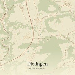 Vintage map of Dietingen, Germany.