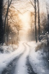 Obraz premium Trees covered by heavy snow in winter forest