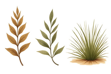 Organic strokes, Hand-drawn nature, Sketchy icons, Earthy tones, Warm aesthetics, Natural imperfection