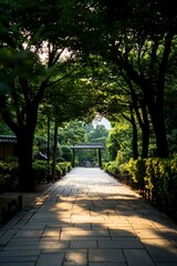 Obraz premium Sunlit Pathway Through Lush Green Japanese Garden Trees