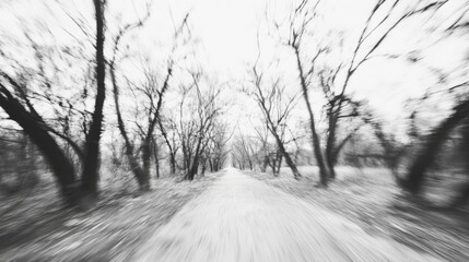 Obraz premium Blurred pathway through a desolate forest with bare trees, evoking a sense of solitude