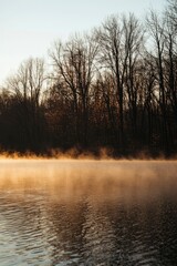 Fototapeta premium Tranquil Dawn Mist Over Winter Trees and Calm Water