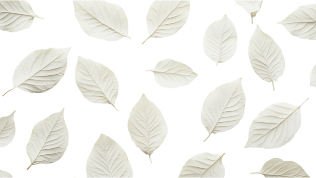 White leaves pattern on white backdrop, minimalistic design, seamless texture, elegant and subtle aesthetic, perfect for backgrounds and overlays.