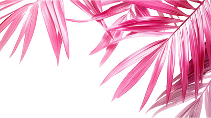 Tropical Pink Palm Leaves on White, vibrant pink palm leaves layered elegantly, creating a fresh and lively atmosphere with a transparent backdrop