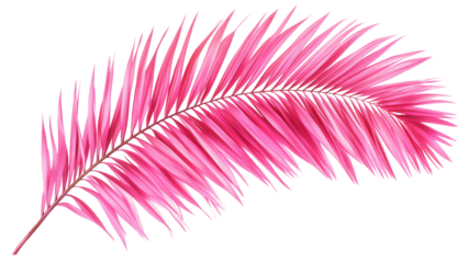 Tropical Pink Palm Leaves, vibrant pink palm leaves layered on a clean white backdrop, ideal for digital design and creative projects