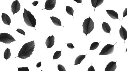 Black Leaf Scatter, A collection of black-hued leaves arranged freely, ideal for backgrounds or design elements, featuring a transparent backdrop