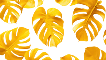 Tropical Yellow Palm Leaves on White, Overlapping vibrant palm leaves creating a fresh, lively design element for various uses.